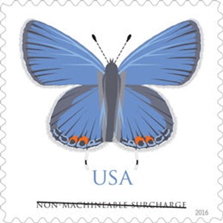 100 Blue Butterfly Postage Stamps Unused $1.100 Stamps For Mailing Wedding Invitations